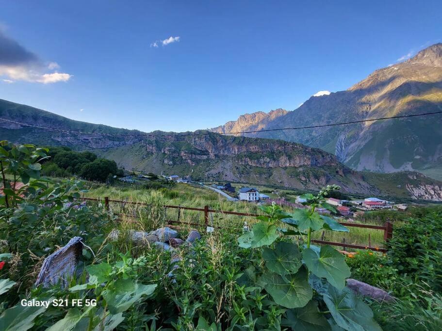 Peak House Villa Kazbegi Luaran gambar