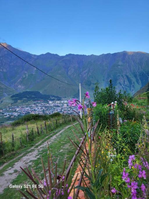 Peak House Villa Kazbegi Luaran gambar